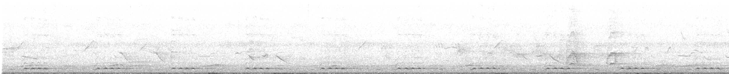 Streifenbartvogel - ML472428361