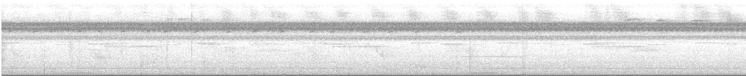 holub bledoprsý - ML472489321