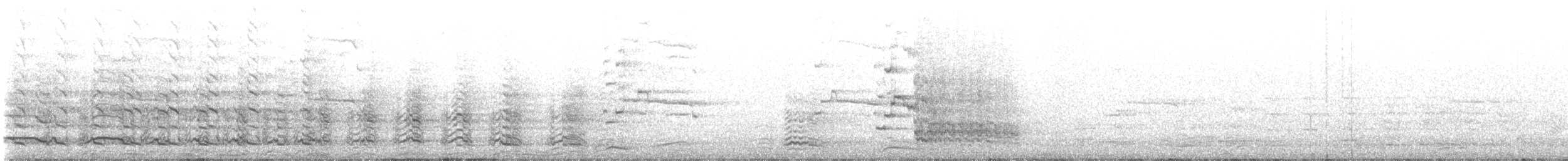 Мартин чорнокрилий (підвид graellsii) - ML472542611