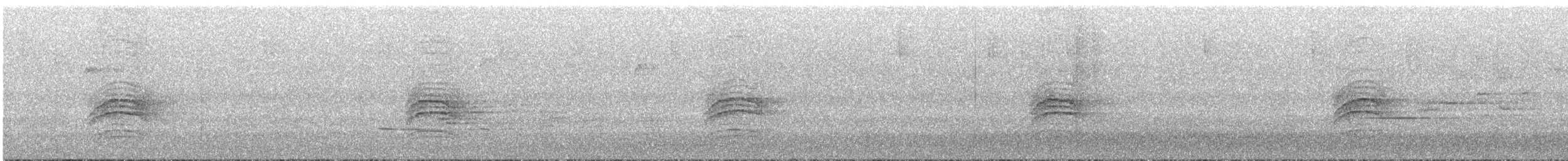 Дрізд-короткодзьоб плямистоволий - ML472577961
