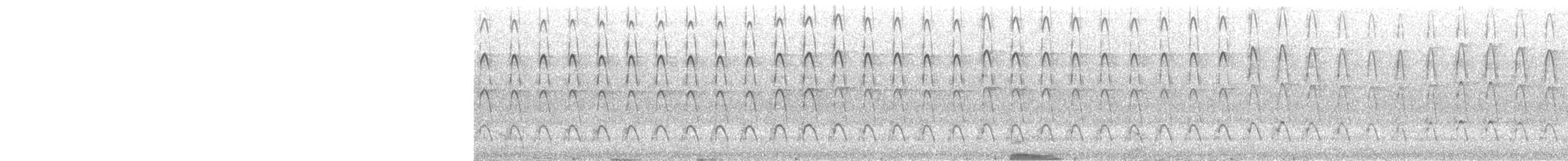 strakapoud velký - ML472660181