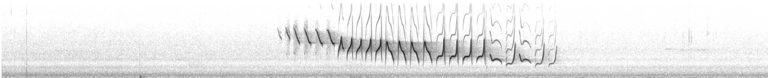 budníček větší - ML472660821