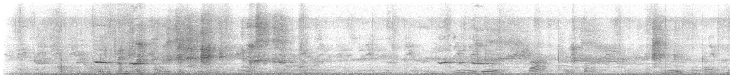 Buff-sided Robin - ML472712071