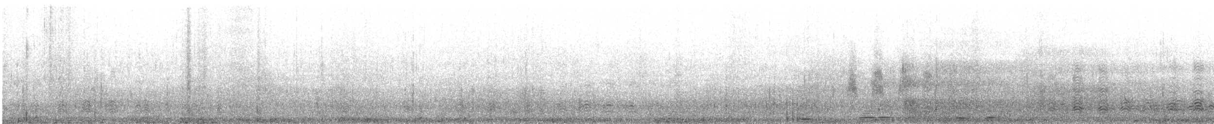カツオドリ（亜種 カツオドリ） - ML472722991