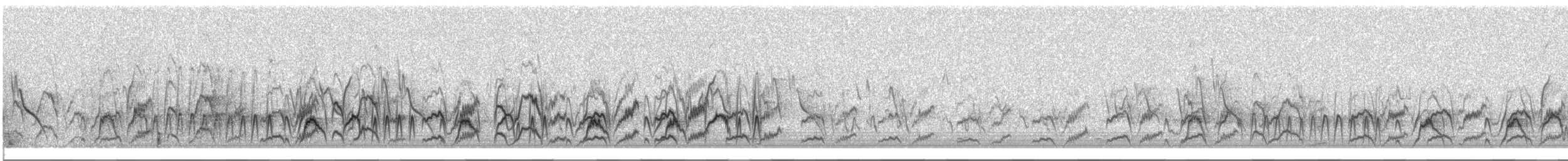 Chapadatyrann - ML472781431