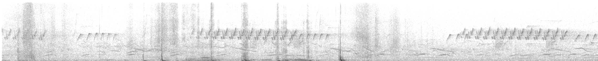 Troglodyte denté - ML472785571