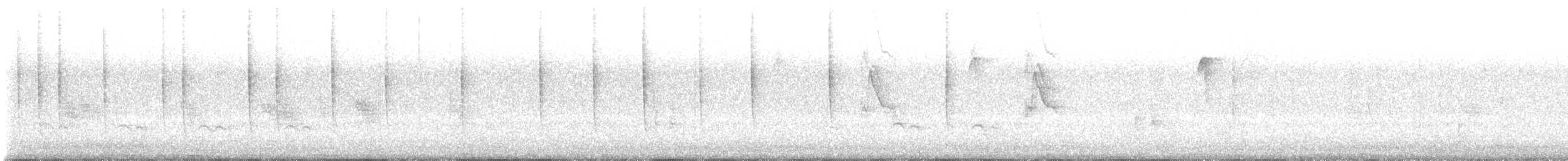 Rufous Hummingbird - ML472793271