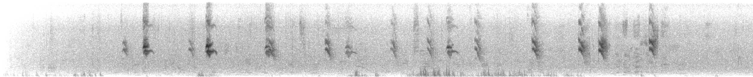 Schwarzstirn-Schneegimpel (littoralis) - ML472945261