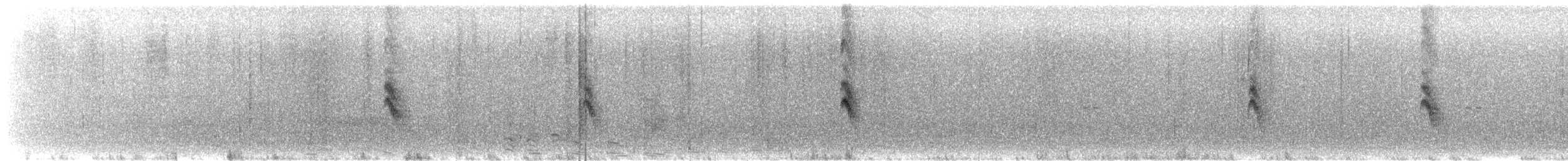 Schwarzstirn-Schneegimpel (littoralis) - ML472946421