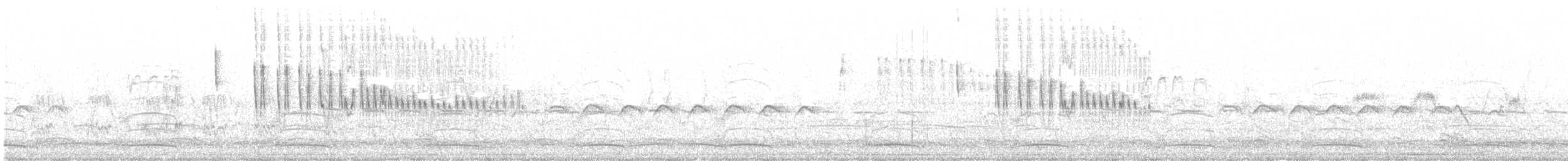 Weißscheitel-Kleintyrann (Weißbauch-Kleintyrann) - ML472974441