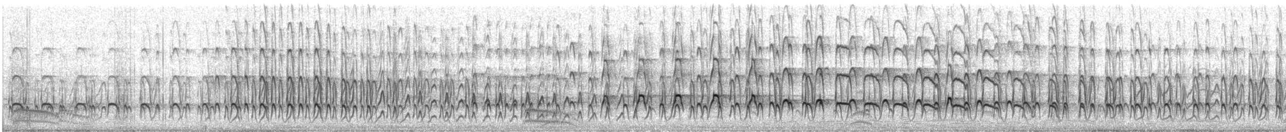 tjeld (ostralegus/longipes) - ML472984591