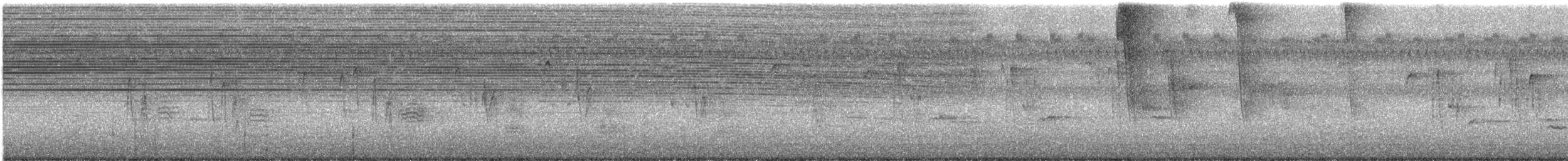 Pic chevelu (groupe villosus) - ML472994761