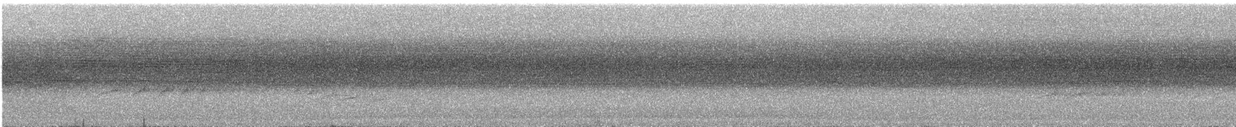 Weißkehl-Ameisenvogel - ML473028601