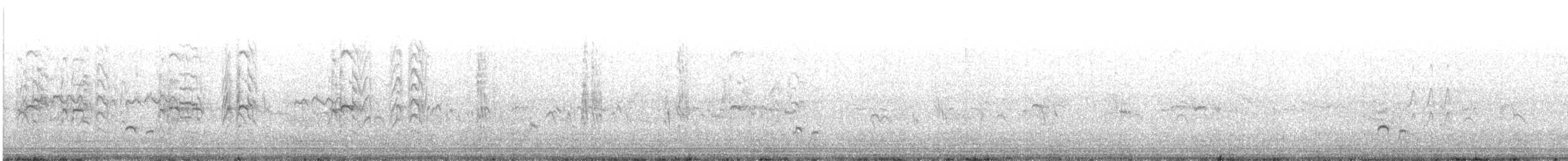 Pluvier siffleur - ML473032191