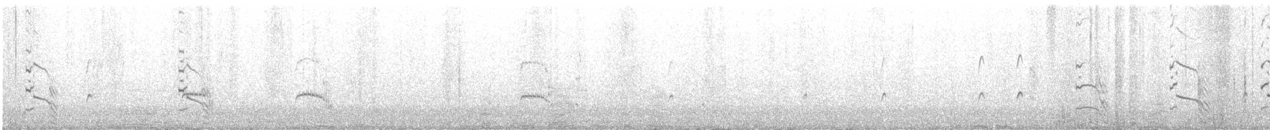 Arctic Tern - ML473054551