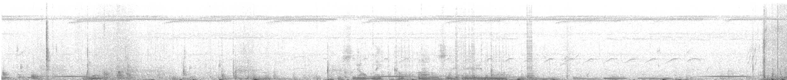 holub šedočelý - ML473067651