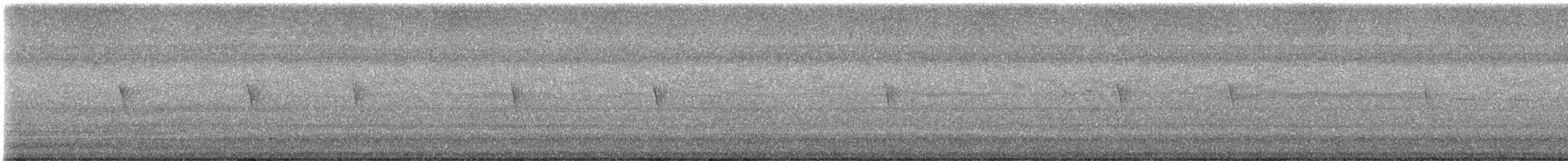 Светлобрюхий фиби - ML473125441