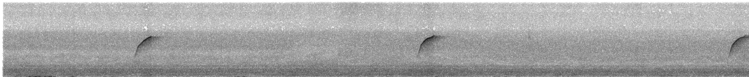 Batı Amerika Sinekkapanı (occidentalis/hellmayri) - ML473155351