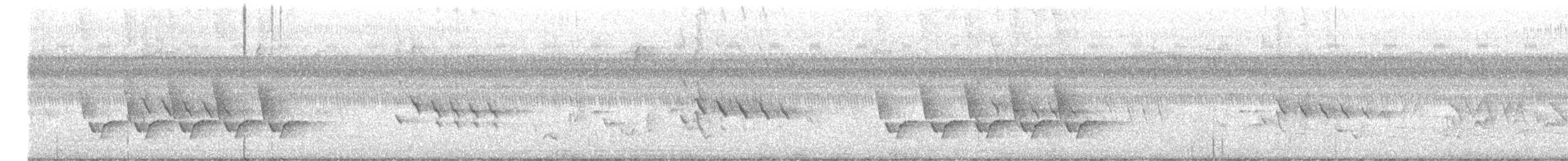 Carolinazaunkönig - ML473184071