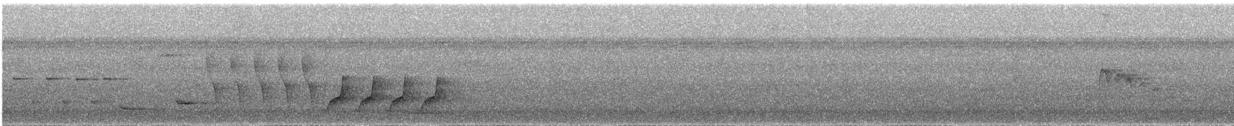 Troglodyte barré - ML473184461
