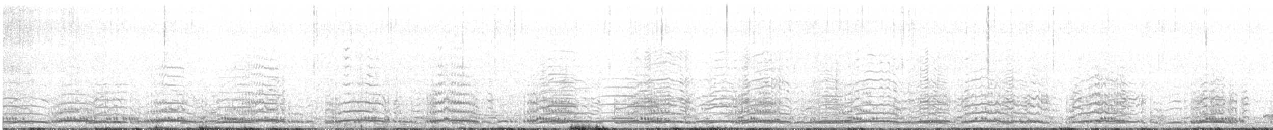 Cygne trompette ou C. siffleur - ML473199061