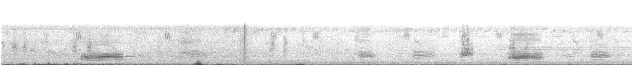 Corbeau à gros bec (culminatus) - ML473256001