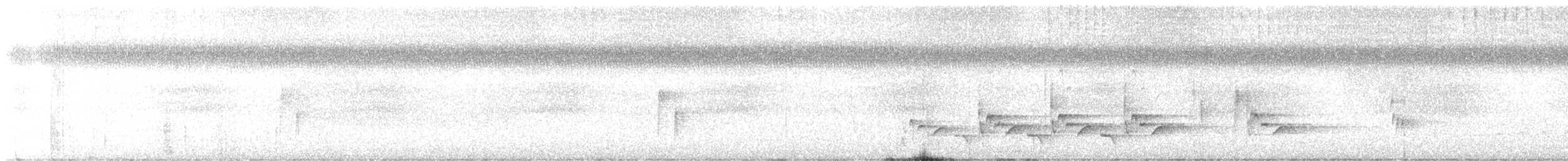 Поплітник каролінський - ML473273541