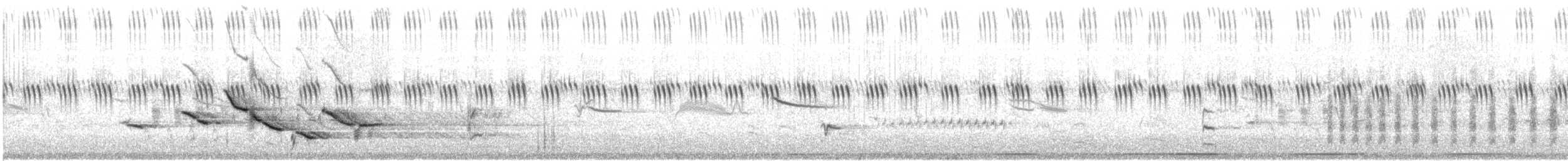 Sturnella sp. - ML473308401