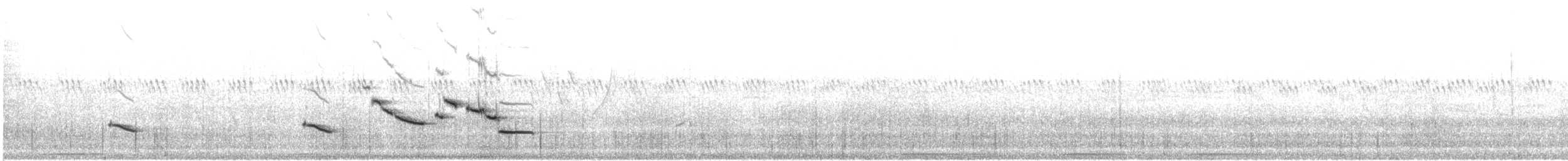 Sturnella meadowlark sp. - ML473308451