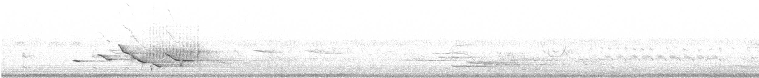 Sturnella meadowlark sp. - ML473308471
