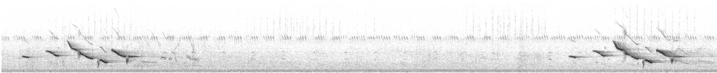Sturnella meadowlark sp. - ML473316471