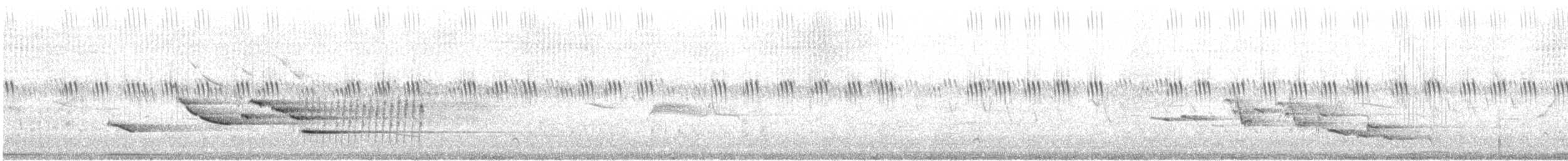 Sturnella meadowlark sp. - ML473316721