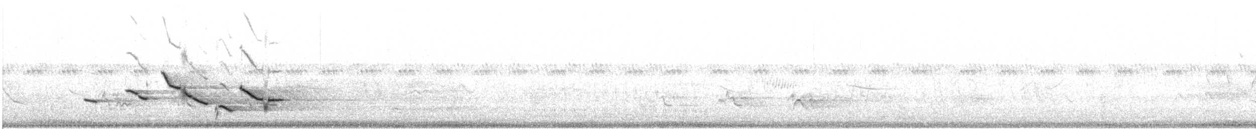 Sturnella meadowlark sp. - ML473316731