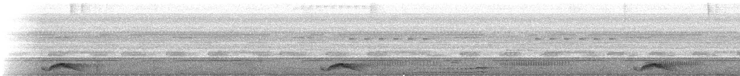 Common Pauraque - ML473344911