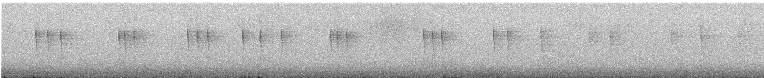 Troglodyte de Baird - ML473345711