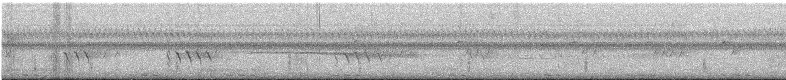 Coulicou à bec noir - ML473350241