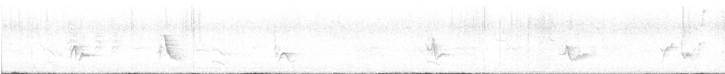 Cassin's Vireo - ML473353381