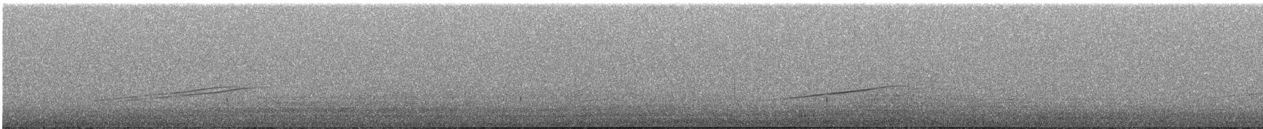 Фірлюк лучний (підвид apiata) - ML473377161
