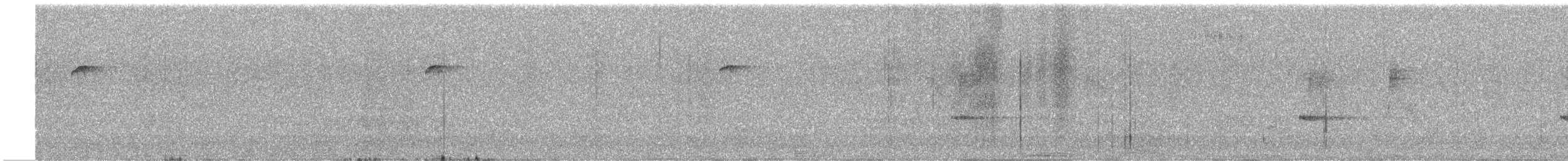 Batı Amerika Sinekkapanı (occidentalis/hellmayri) - ML473438361