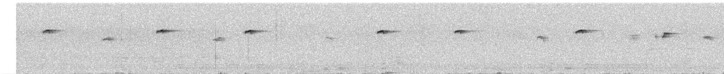 Batı Amerika Sinekkapanı (occidentalis/hellmayri) - ML473438371