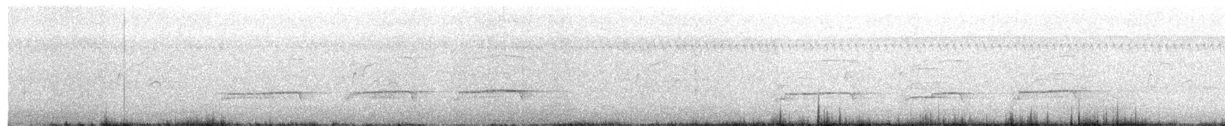 Red-tailed Hawk (borealis) - ML473566371
