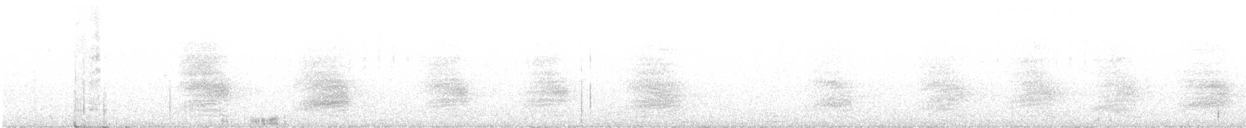 Chara de Steller - ML473657641