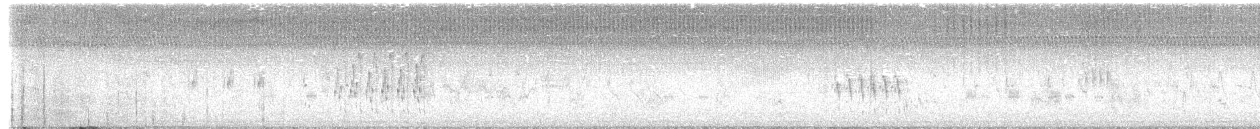 Troglodyte des marais - ML473672381