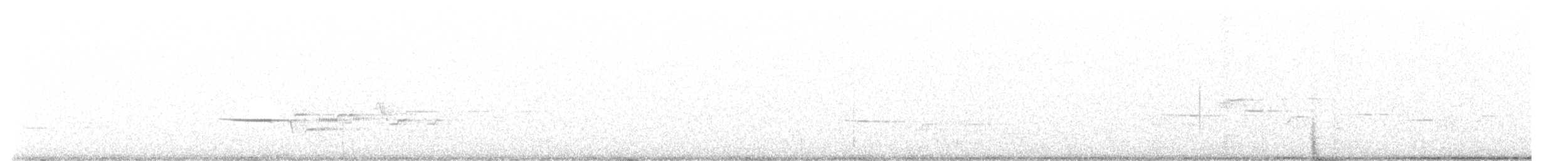 Дрізд-короткодзьоб плямистоволий - ML473709441