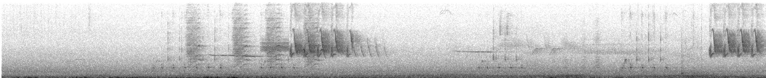 furuskrike (stelleri gr.) - ML473734331