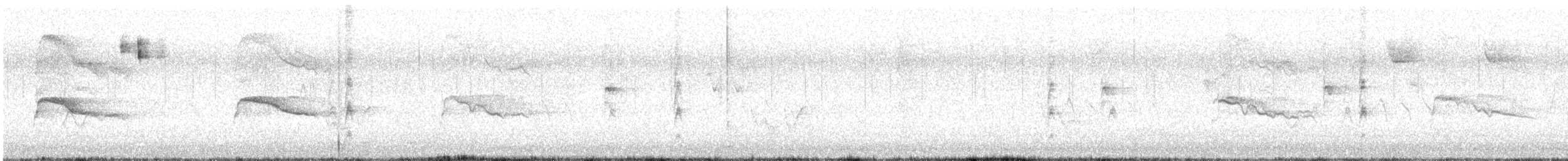 Épervier de Cooper - ML473748381