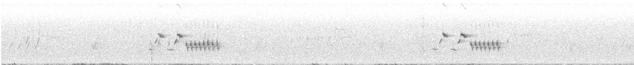 ノドグロヒメドリ - ML473755171