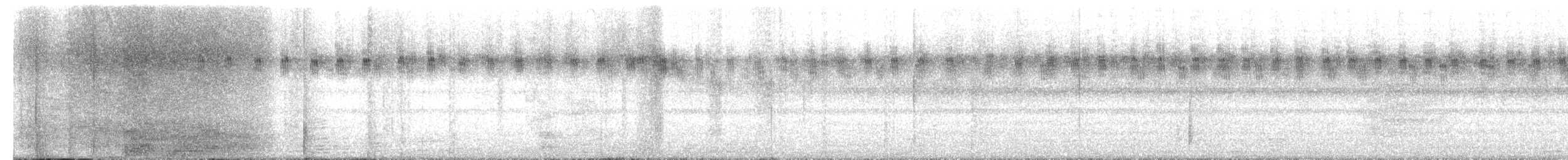 Сова вухата (підвид otus/canariensis) - ML473891451