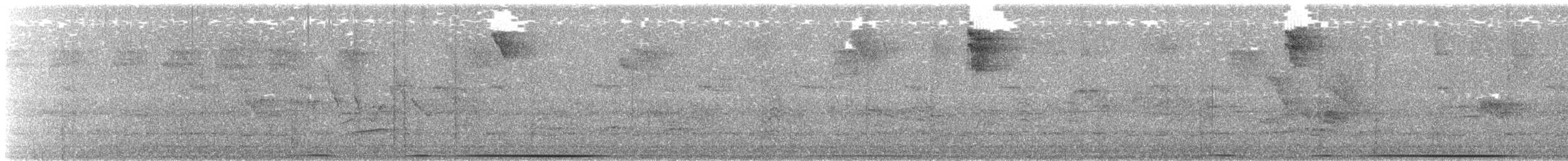 オオテリハウズラバト - ML473911531