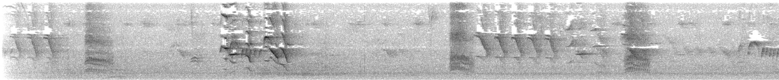 Чешуйчатогрудый пересмешник - ML473921461
